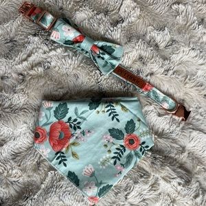 Dog Collar with matching bandana